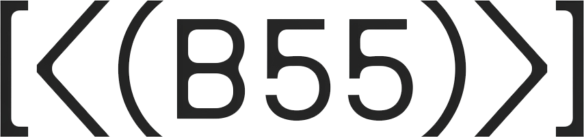 B55